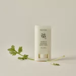 Beauty of Joseon Matte Sun Stick: Mugwort + Camelia SPF50+/PA+++