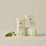 Beauty of Joseon Matte Sun Stick: Mugwort + Camelia SPF50+/PA+++