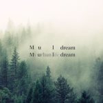 Muldream Vegan Green Mild HYALURON ampulla