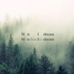 Muldream Vegan Green Mild póruskezelő arcmaszk